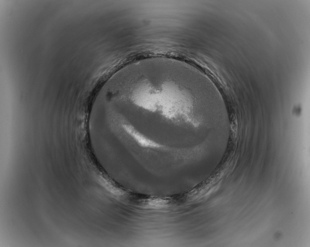 X0000099420462200805091247