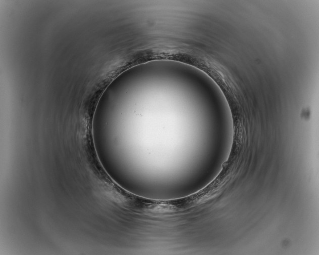 X0000099420463200805091247