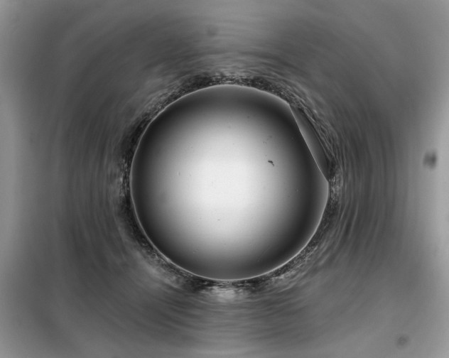 X0000099420464200805091247