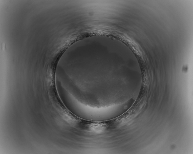 X0000099420465200805091247
