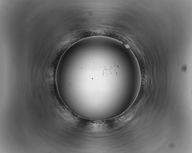 X0000099420466200805091247