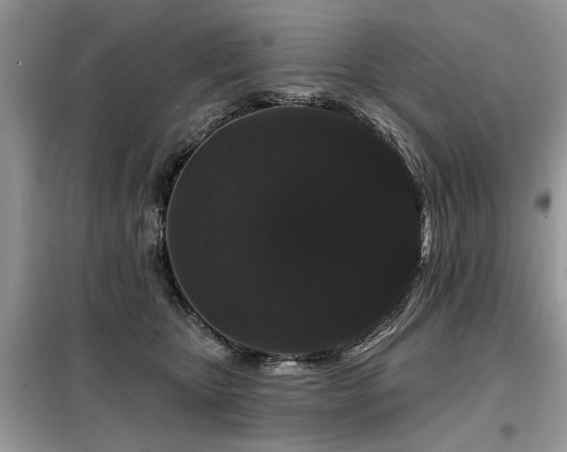 X0000099420467200805091247