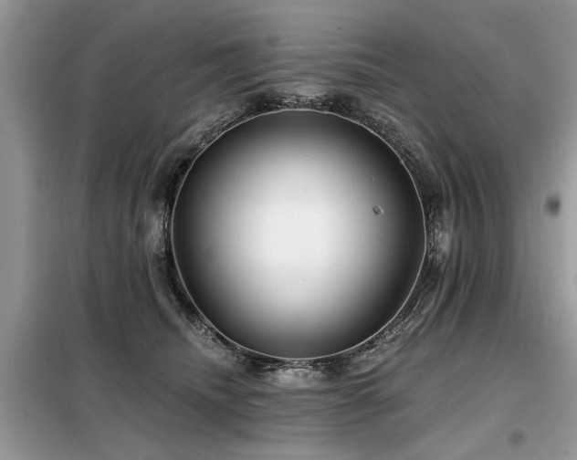 X0000099420468200805091247