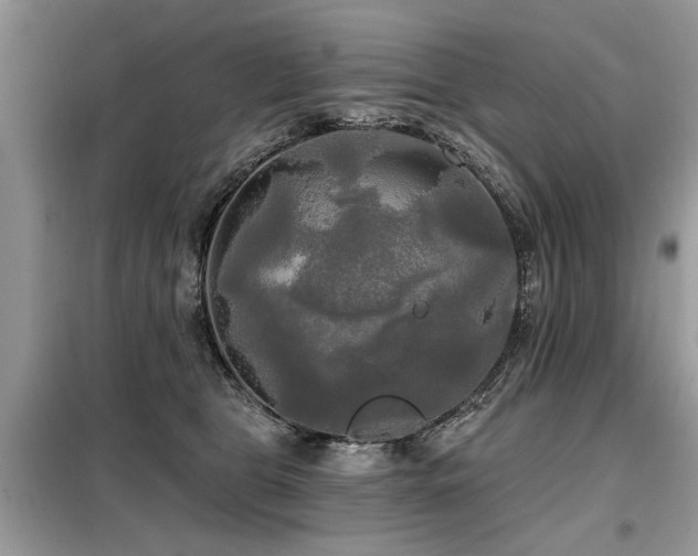 X0000099420469200805091247