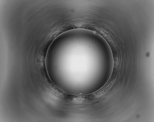 X0000099420470200805091247
