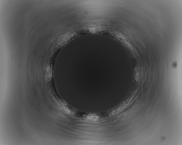 X0000099420471200805091247