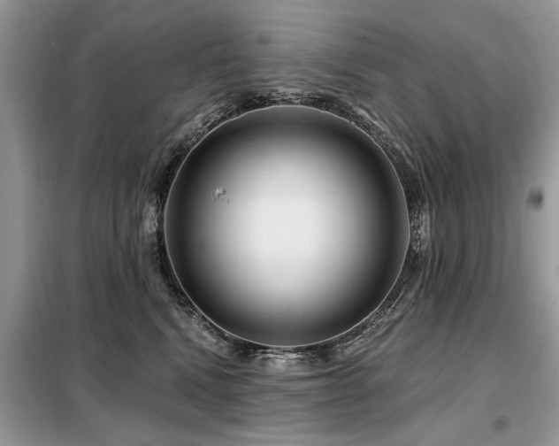 X0000099420472200805091247