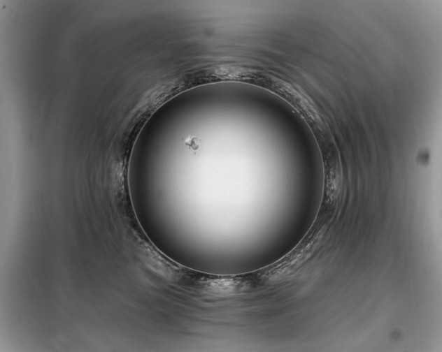 X0000099420473200805091247