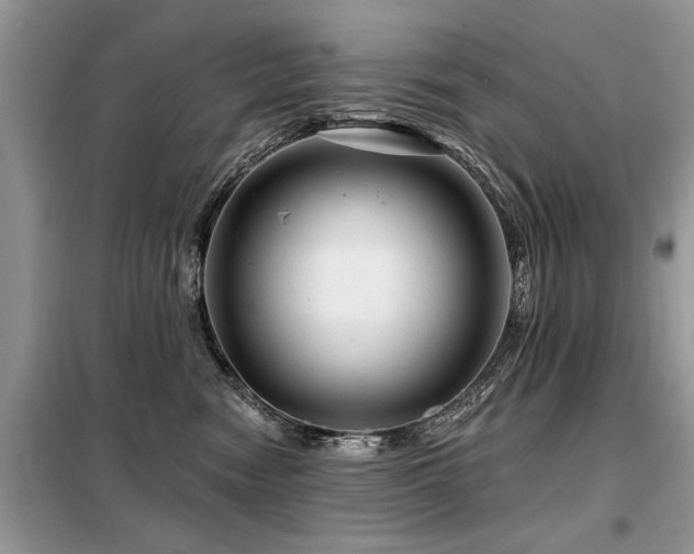X0000099420474200805091247