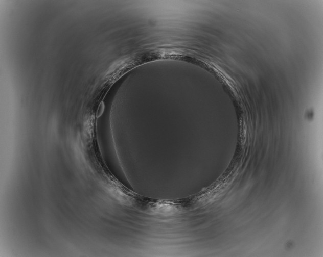 X0000099420475200805091247