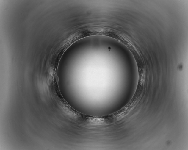 X0000099420476200805091247