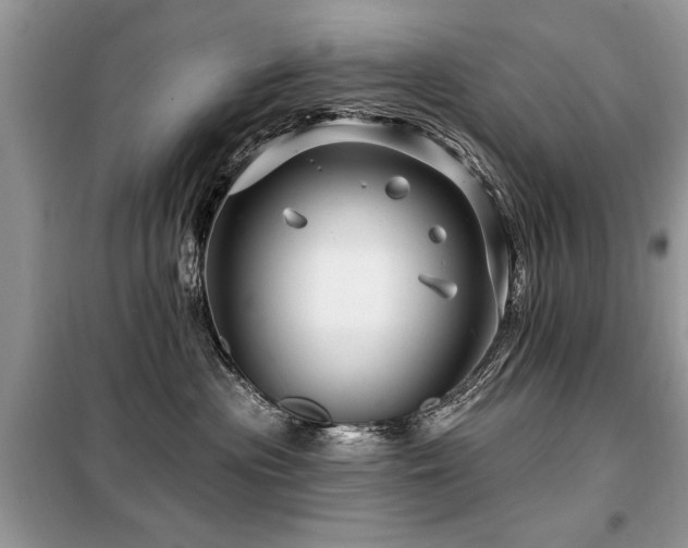 X0000099420477200805091247