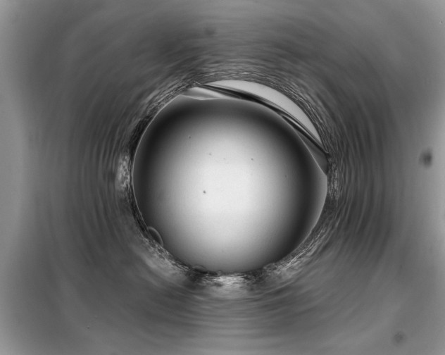 X0000099420478200805091247