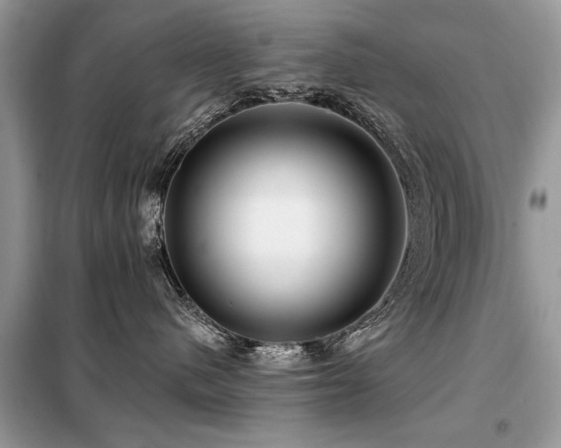 X0000099420480200805091247