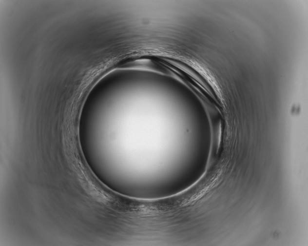 X0000099420481200805091246