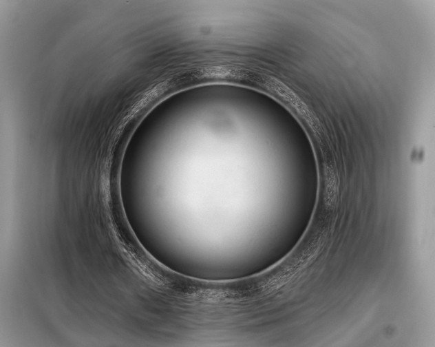 X0000099420482200805091246