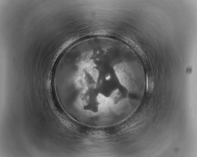 X0000099420483200805091246