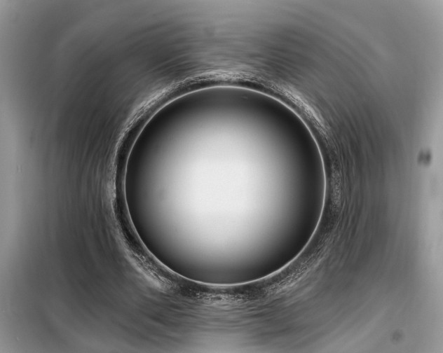 X0000099420486200805091246