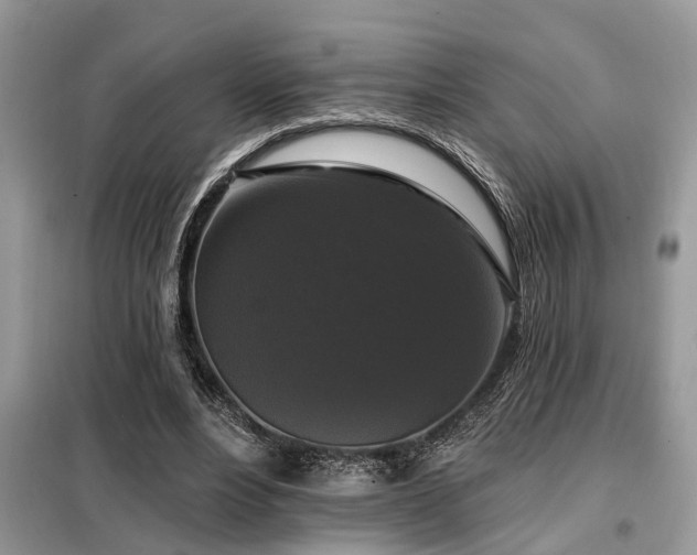 X0000099420488200805091246