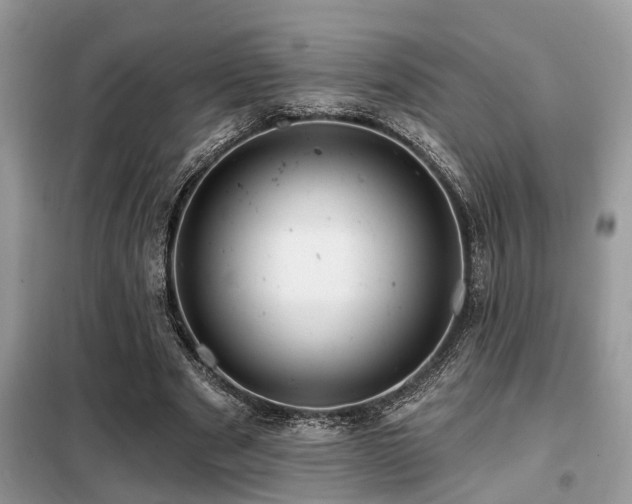 X0000099420489200805091246