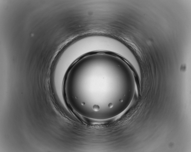 X0000099420492200805091246