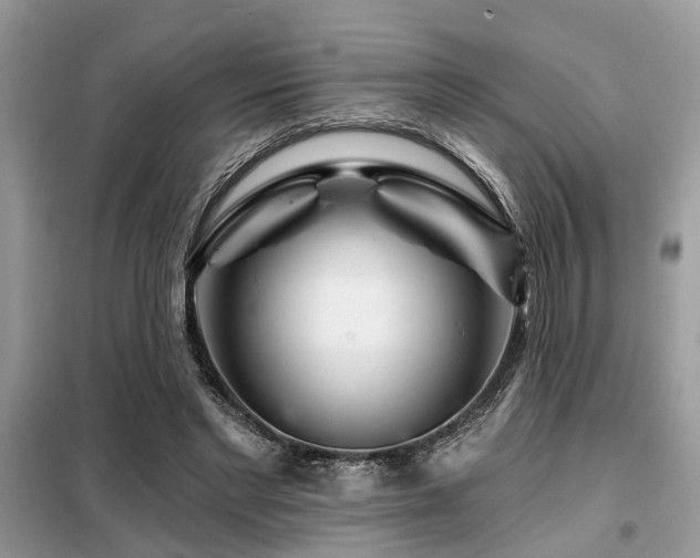 X0000099420493200805091246