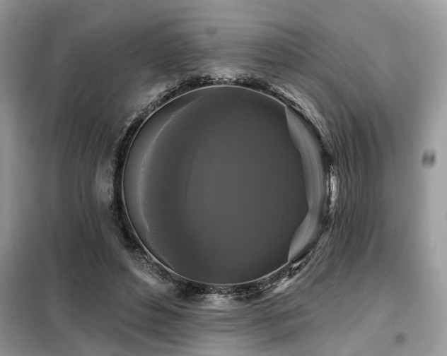 X0000099420496200805091246