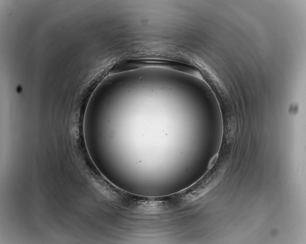 X0000099420497200805091246