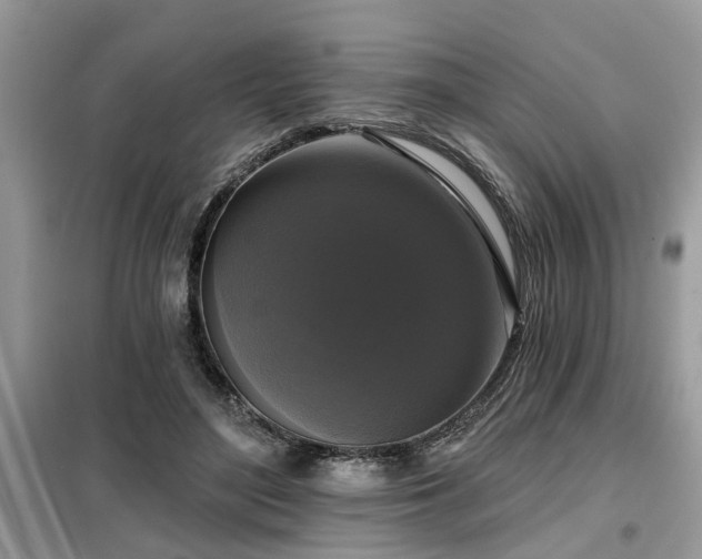 X0000099420500200805091246