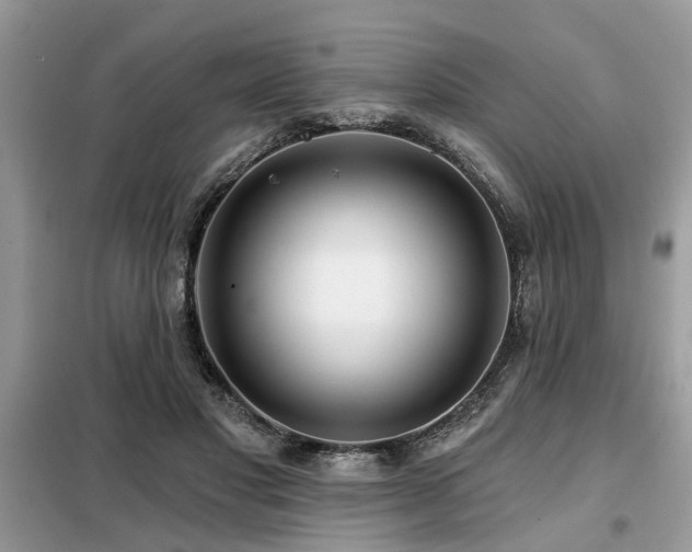 X0000099420501200805091246