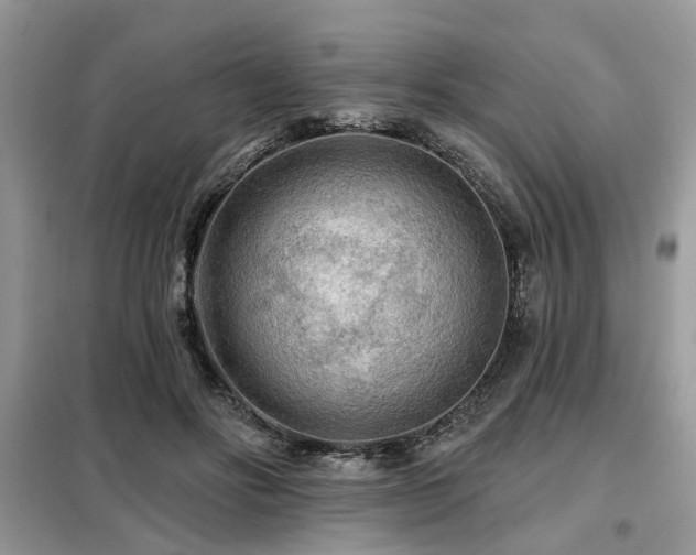 X0000099420502200805091246