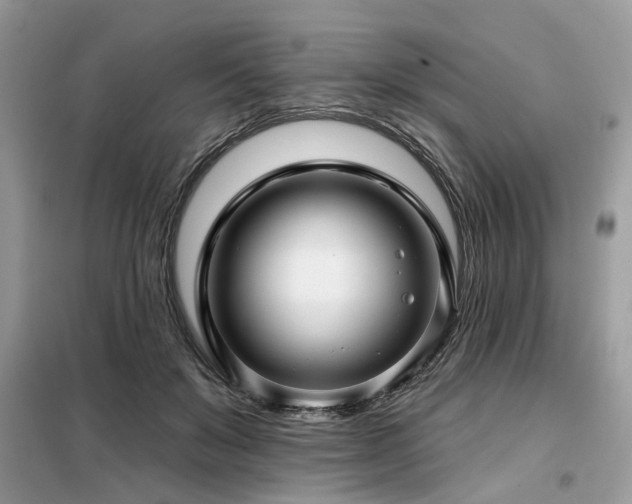 X0000099420503200805091246