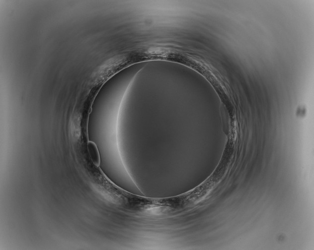 X0000099420504200805091246