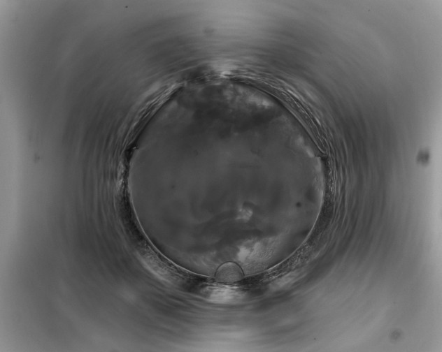 X0000099420507200805091246