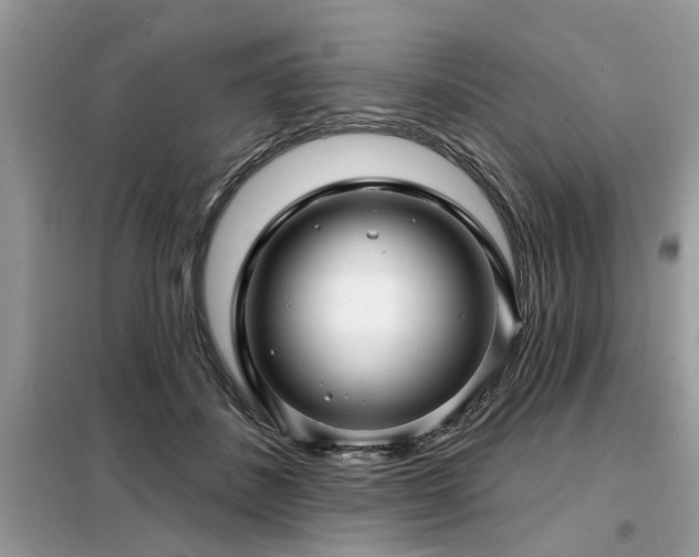 X0000099420508200805091246