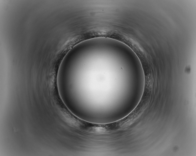 X0000099420509200805091246