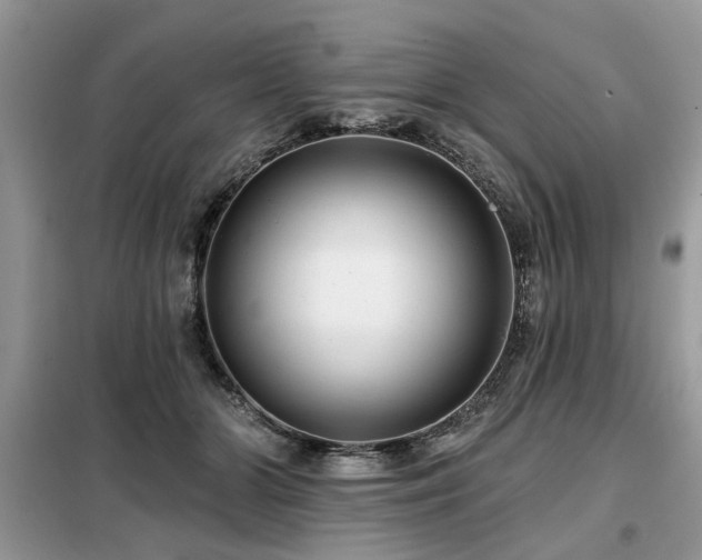 X0000099420510200805091246