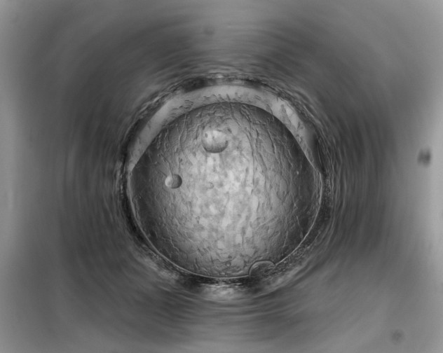 X0000099420511200805091246