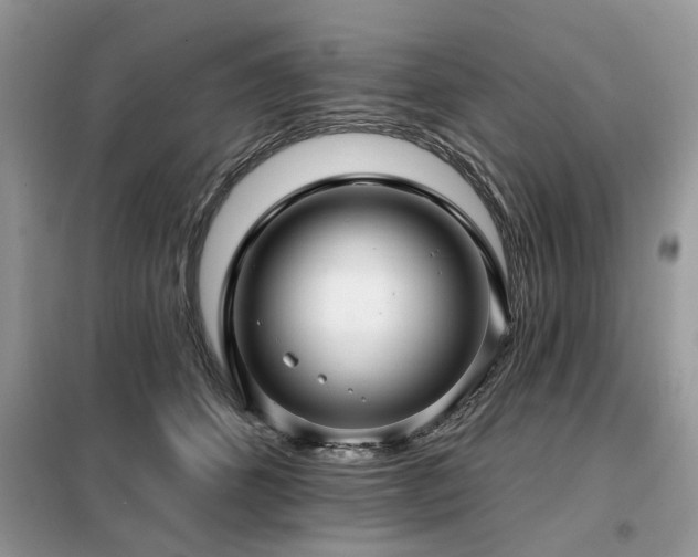X0000099420512200805091246