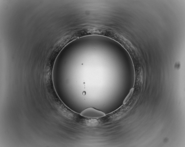 X0000099420513200805091246