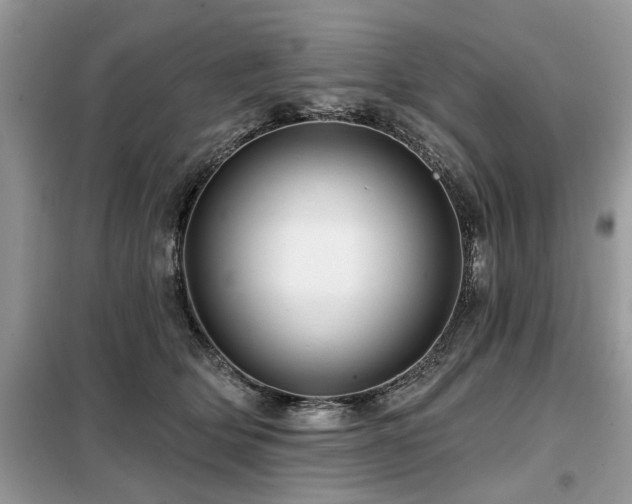 X0000099420514200805091246