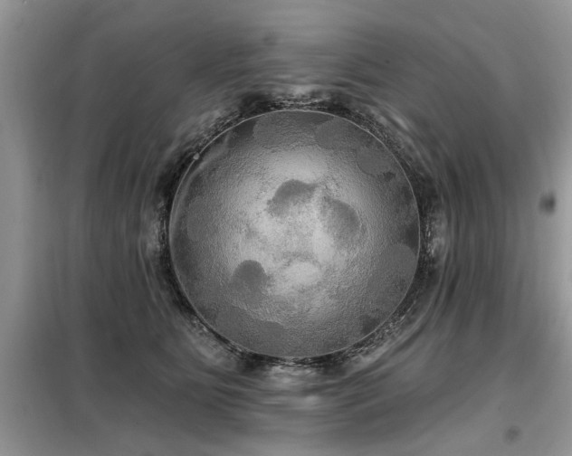 X0000099420515200805091246