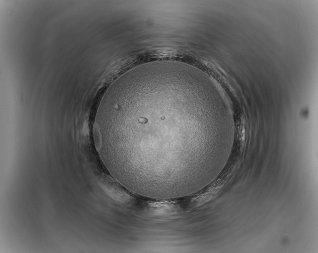 X0000099420516200805091246