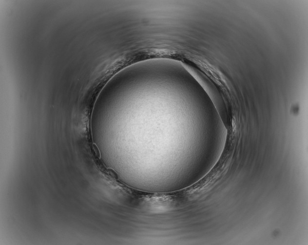X0000099420517200805091246