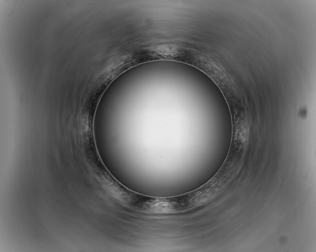 X0000099420518200805091246