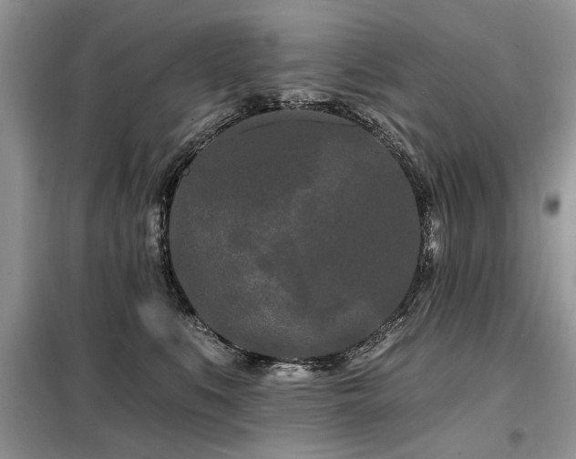 X0000099420519200805091246