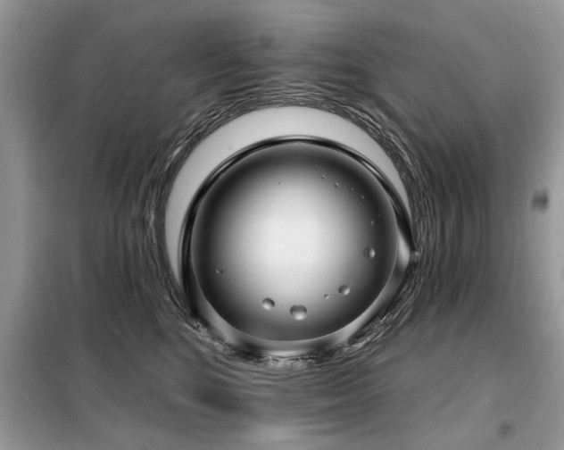 X0000099420520200805091246