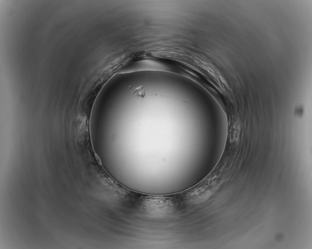 X0000099420521200805091246