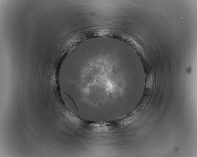 X0000099420524200805091246