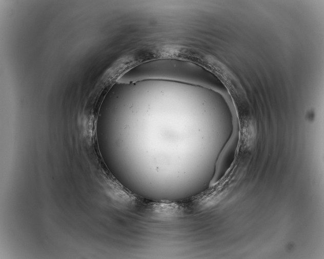 X0000099420525200805091246